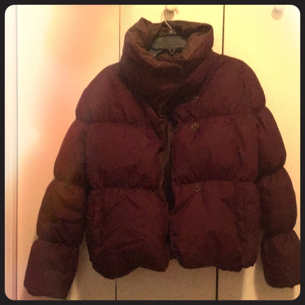 BCBG Puffy Jacket